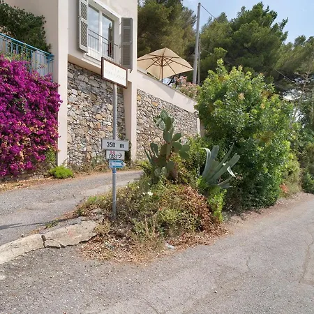 Oasi * アラッシオ