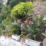Appartamento Oasi *