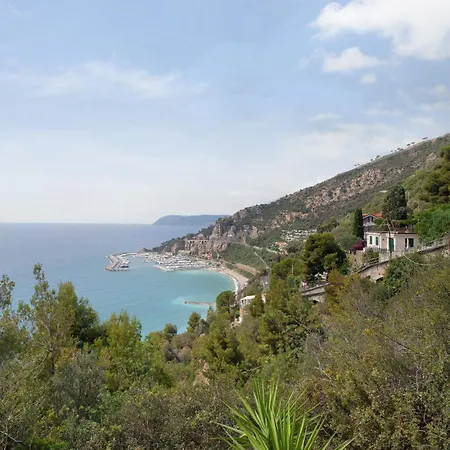 Oasi * Αλάσιο